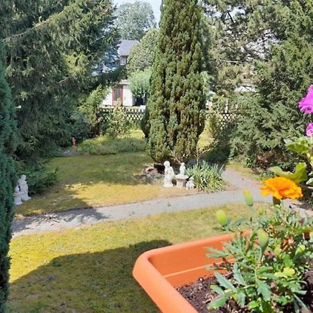 Pferd - Spass - Entspannung Staitz Extérieur photo