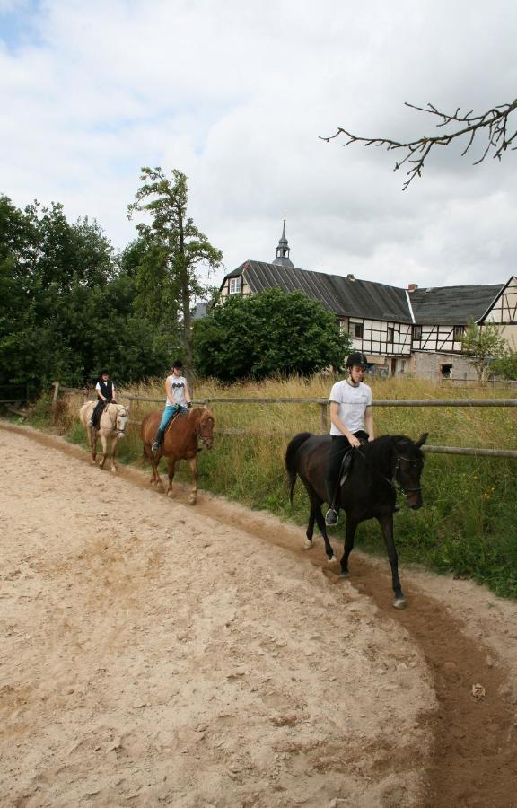 Pferd - Spass - Entspannung Staitz Extérieur photo