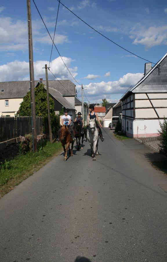 Pferd - Spass - Entspannung Staitz Extérieur photo