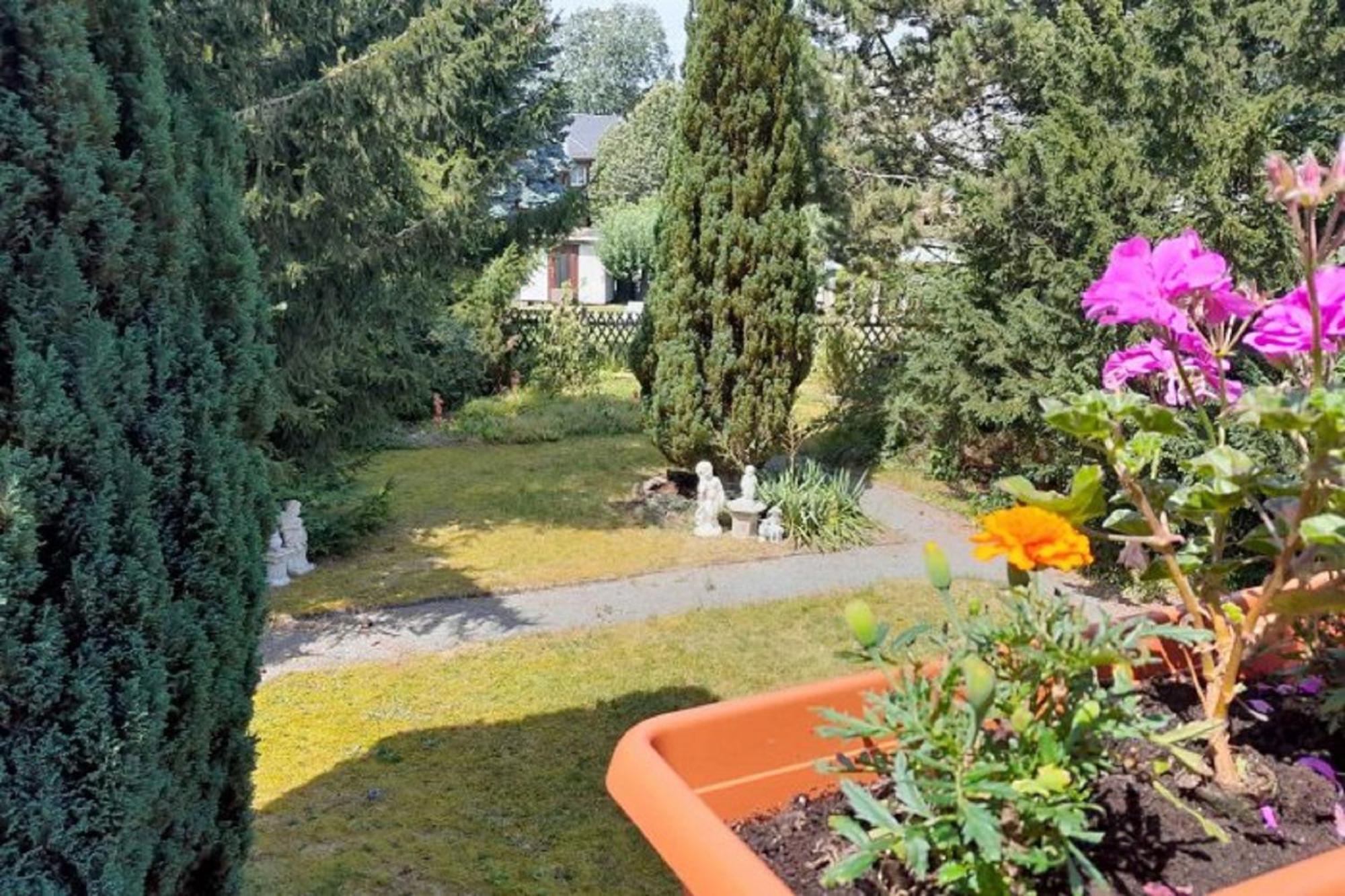 Pferd - Spass - Entspannung Staitz Extérieur photo